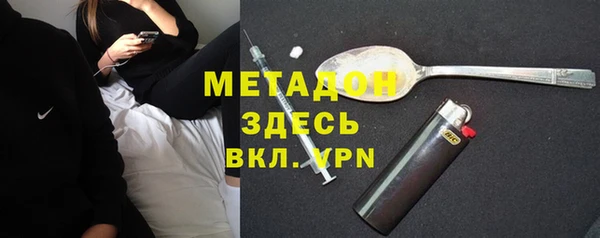 прущие грибы Семилуки