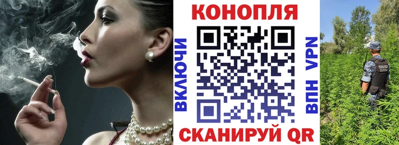 Бошки Шишки гибрид  где найти   Жуков 